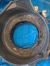 PXL_20260219_015321807.PORTRAIT_コピー