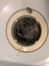 PXL_20260318_004102712.MP_コピー