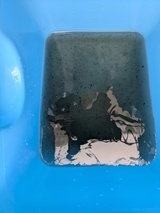 PXL_20260318_010415144.MP_コピー_コピー