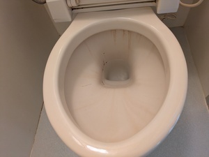 PXL_20260324_233412365.MP_コピー_コピー