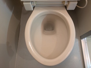 PXL_20260325_022350296.MP_コピー