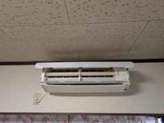 PXL_20260325_235759943.MP_コピー