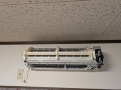 PXL_20260326_000102988.MP_コピー