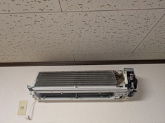 PXL_20260326_001143296.MP_コピー