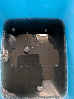 PXL_20260326_005216289.MP_コピー