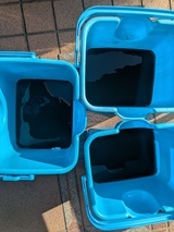 PXL_20260327_065458381.MP_コピー