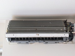 PXL_20260402_003519620.MP_コピー