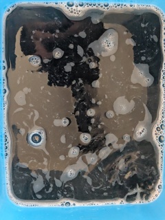 PXL_20260402_010622995.MP_コピー