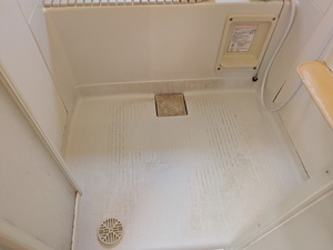 PXL_20260331_232042561.MP_コピー