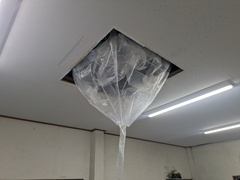 PXL_20260404_003423371.MP_コピー