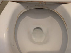 PXL_20260409_021527050.MP_コピー