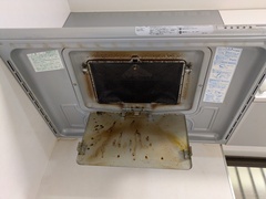 PXL_20260412_235739985.MP_コピー