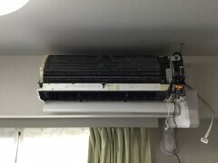 IMG_1209-columns2_コピー