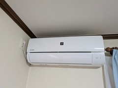 PXL_20260501_030058069.MP_コピー