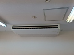 PXL_20260601_020840058.MP_コピー