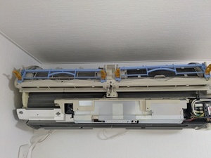 PXL_20261005_000109808.MP_コピー