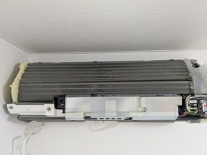 PXL_20261005_000351013.MP_コピー
