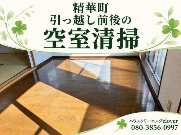file_00000000be688209a0609ef13a4ada23_コピー