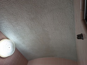 PXL_20261019_022141326.MP_コピー