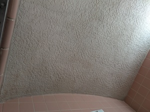 PXL_20261019_022147141.MP_コピー